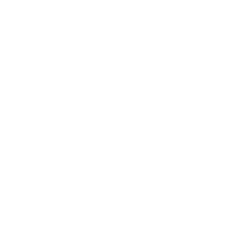 LHL Immigration GmbH